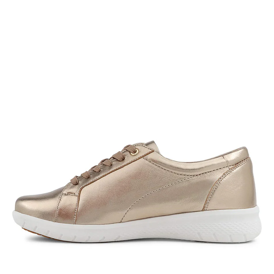 ZIERA SOLAR CHAMPAGNE - Image 5