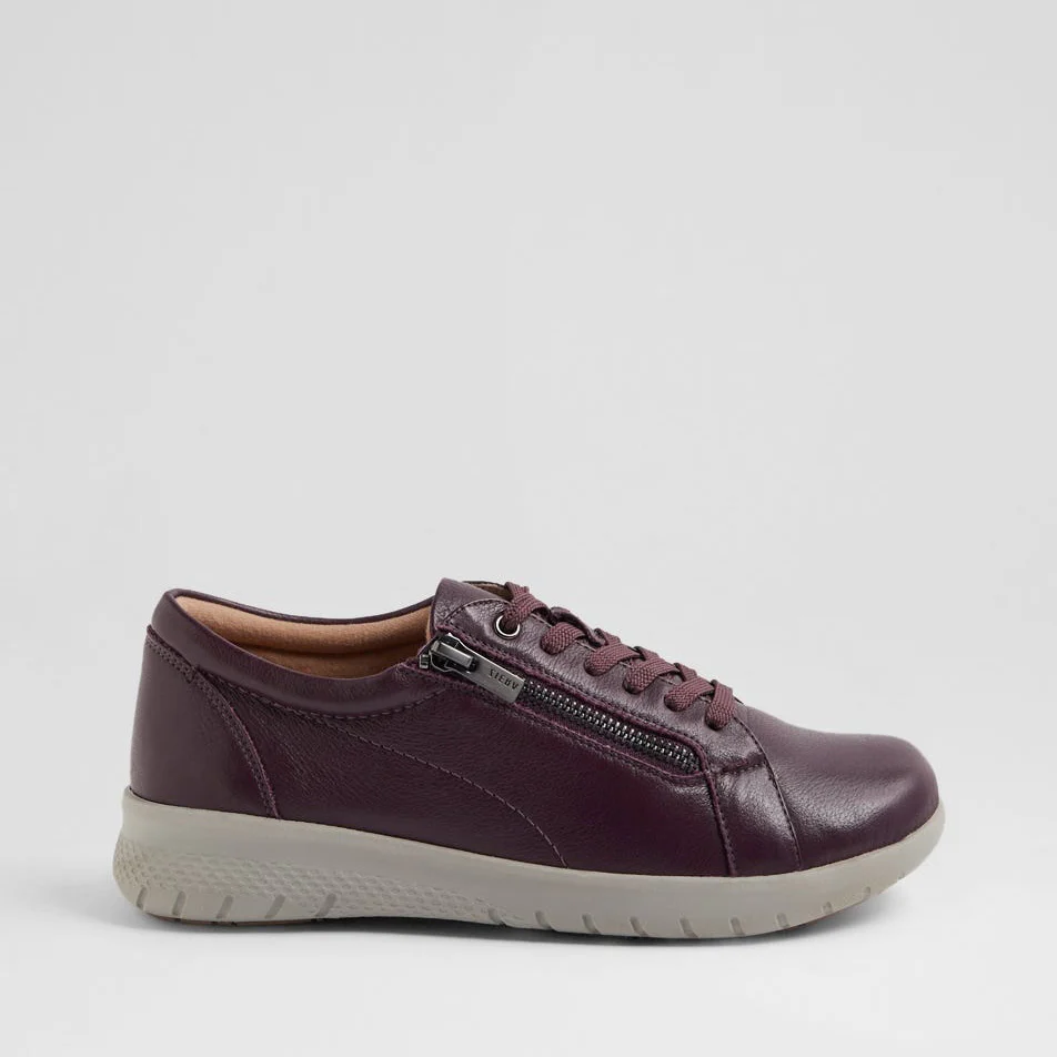 ZIERA SOLAR NEW PURPLE