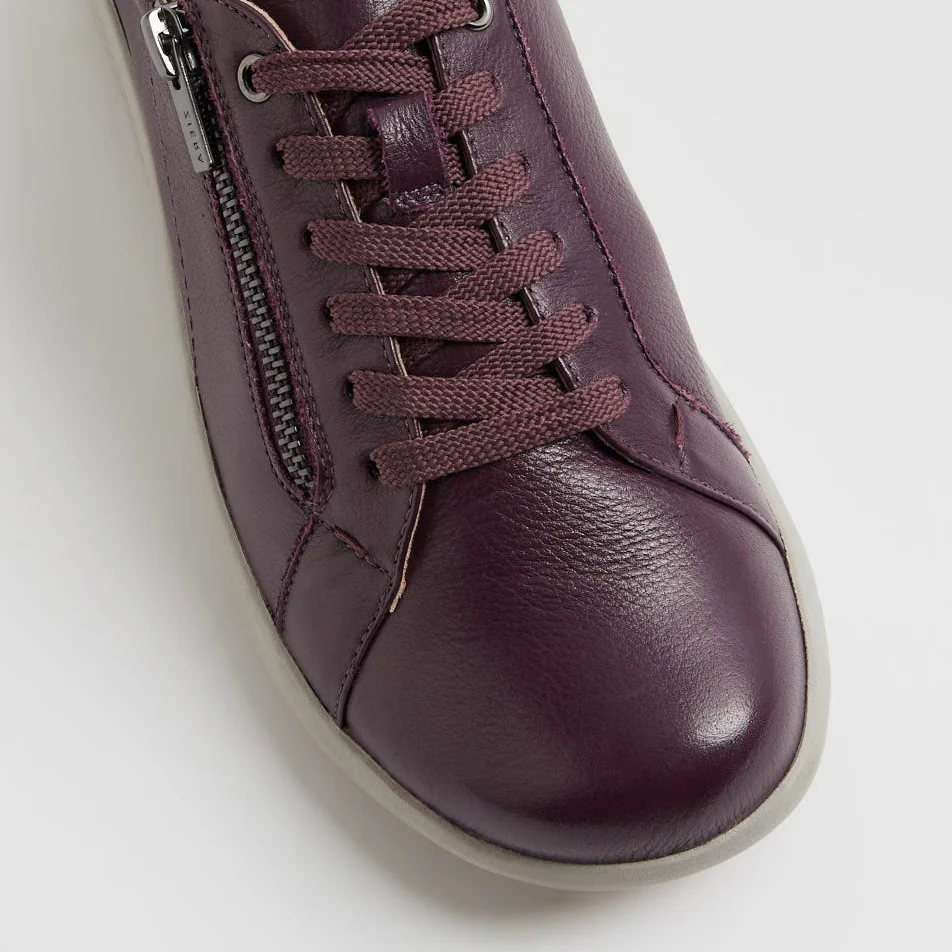 ZIERA SOLAR NEW PURPLE - Image 4