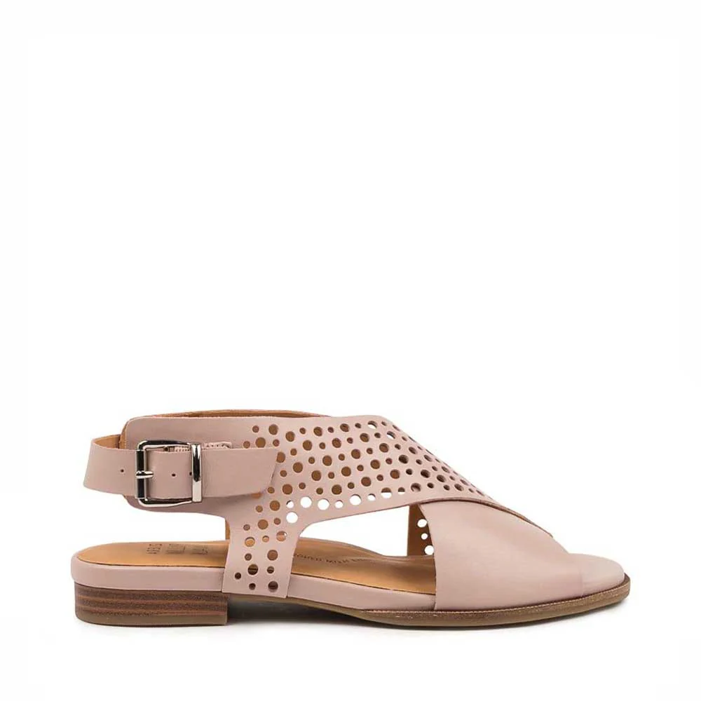 ZIERA TREKA W SEASHELL