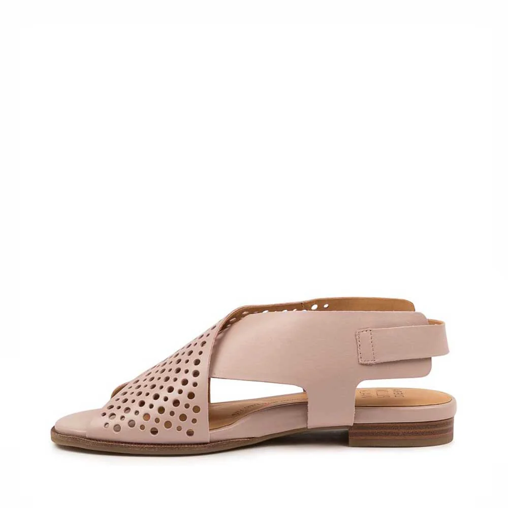 ZIERA TREKA W SEASHELL - Image 4