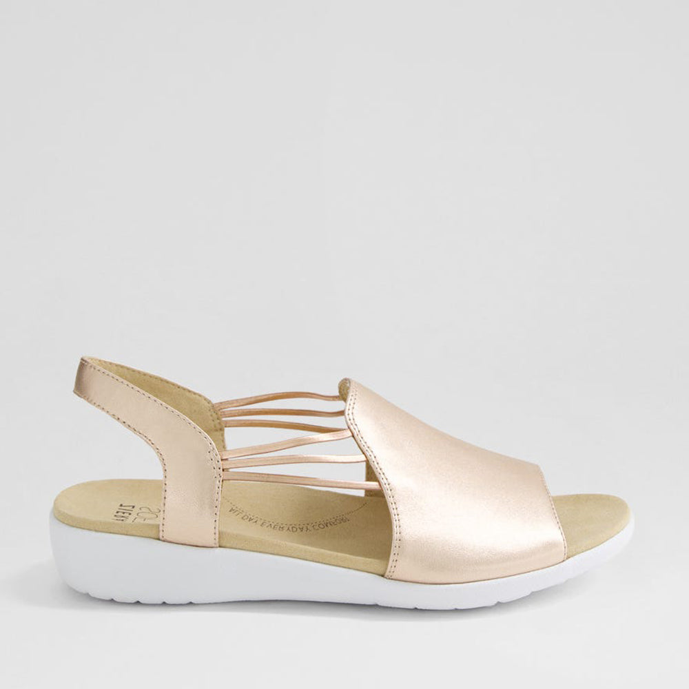 ZIERA UDHAYS ROSE GOLD
