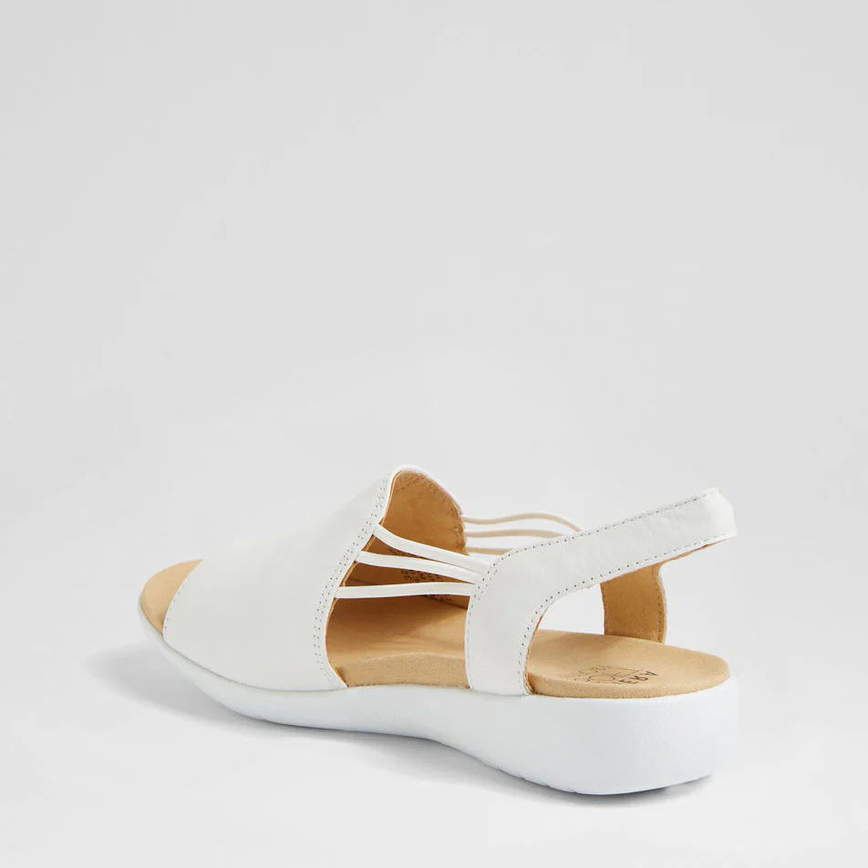 ZIERA UDHAYS WHITE - Image 5