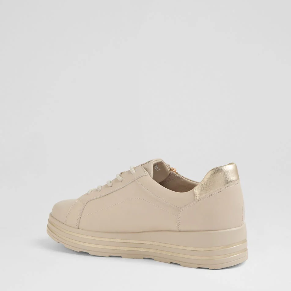 ZIERA VAMRA ALMOND PALE GOLD - Image 5
