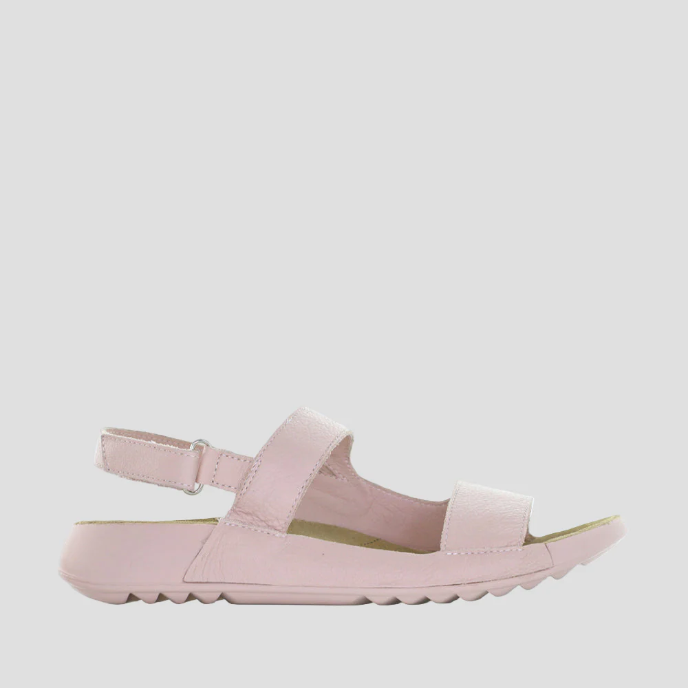 ZIERA YOCCO ROSE