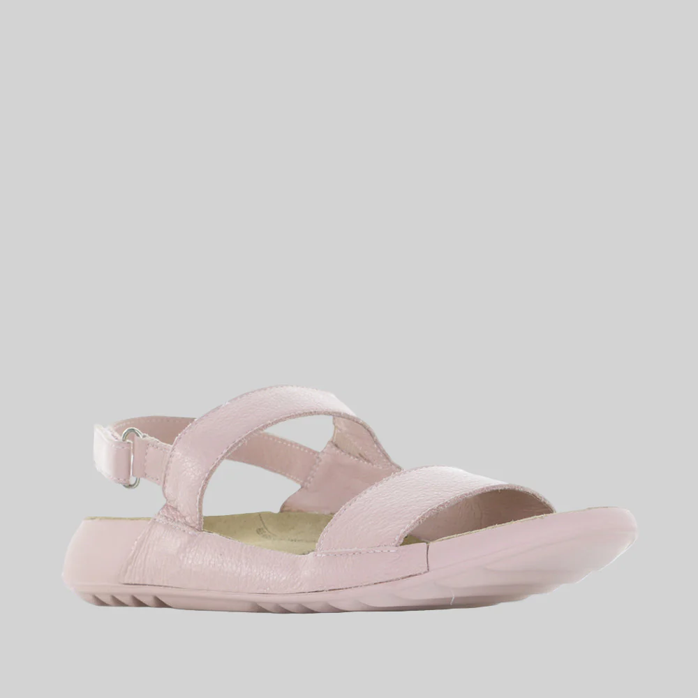ZIERA YOCCO ROSE - Image 2